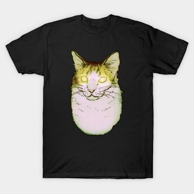 spooky scary glowing eyes hover cat cryptid meme T-Shirt by mudwizard